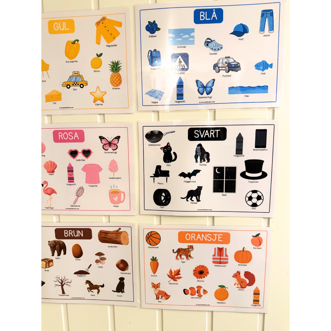 Farger i bilder – Pedagogiske A4-plakater - Fysisk produkt+Digital (PDF)